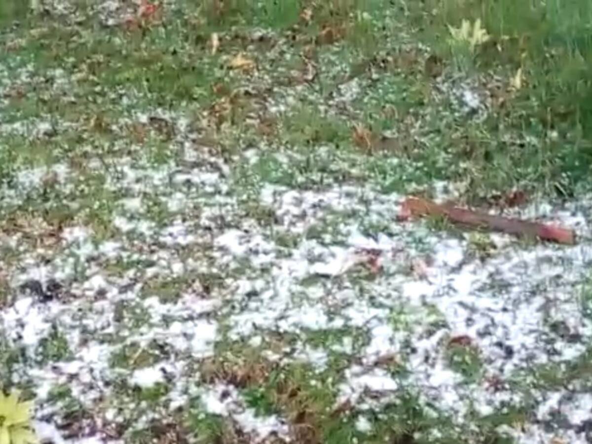 Granizo afecta cultivos de frutas donde habitan 800 campesinos en Jenesano