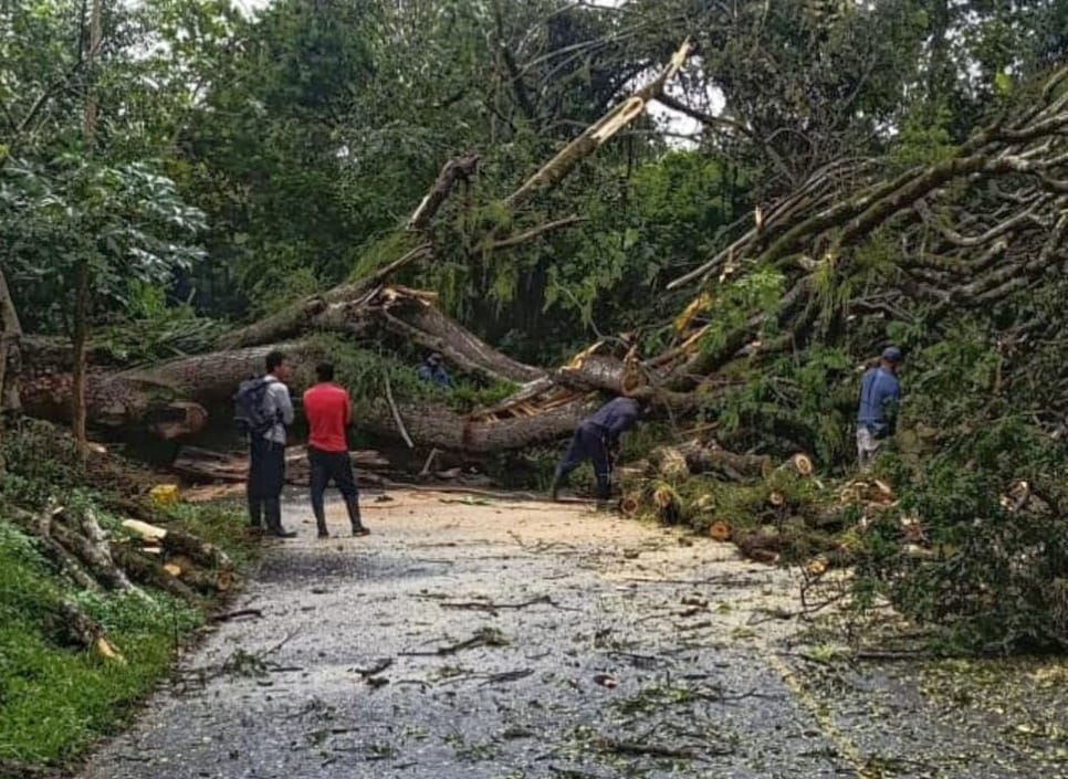 Varias vías quedaron bloqueadas como consecuencia de las lluvias. Crédito: Red de Apoyo Cauca.