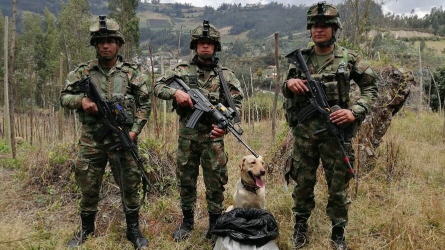Incautación de explosivos- Nariño. Foto: Ejército Nacional