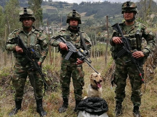 Incautación de explosivos- Nariño. Foto: Ejército Nacional