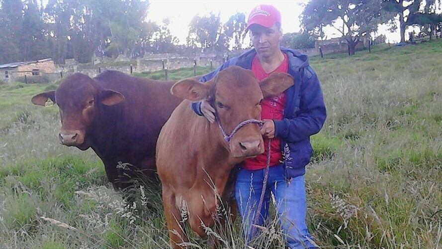 Los inmuebles afectados en la diligencia tienen un valor comercial de ciento cincuenta mil millones de pesos. Foto: Cortesía// Fiscalía.