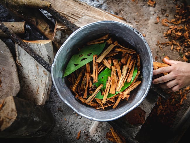 ¿Yagé como uso medicinal? Director de la Fundación Iceers revela detalles
