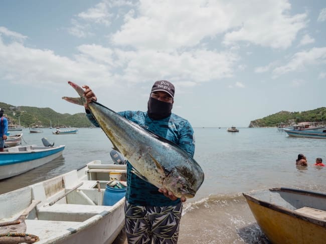 Pesca Artesanal/ Alcaldía de Santa Marta 