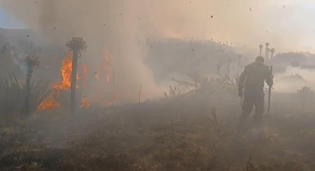Hasta el momento las llamas han consumido más de 200 hectáreas de vegetación nativa y frailejones y amenazan con llegar a Pesca y Toca / Foto: Suministrada.