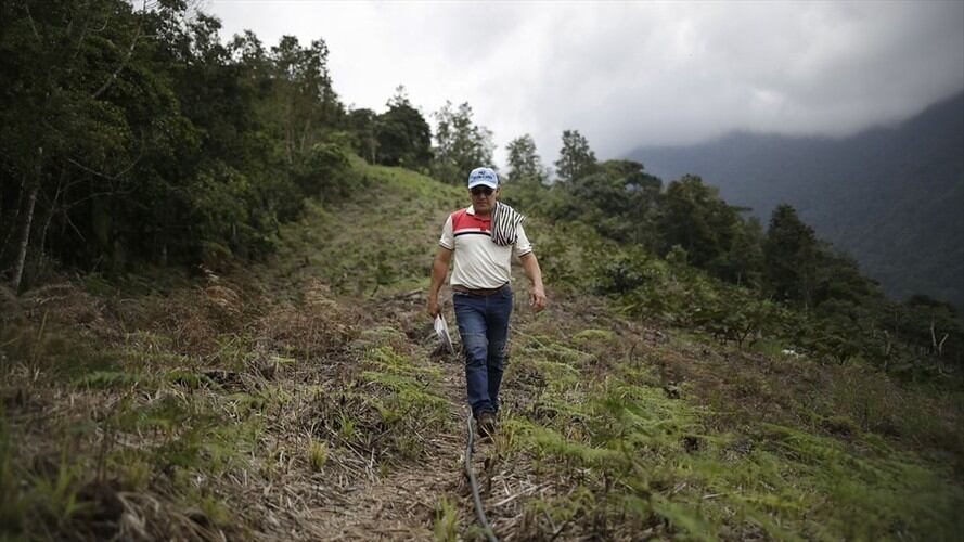 35 excombatientes de las Farc se formarán como guías turísticos . Foto: Colprensa