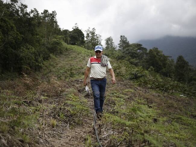 35 excombatientes de las Farc se formarán como guías turísticos . Foto: Colprensa