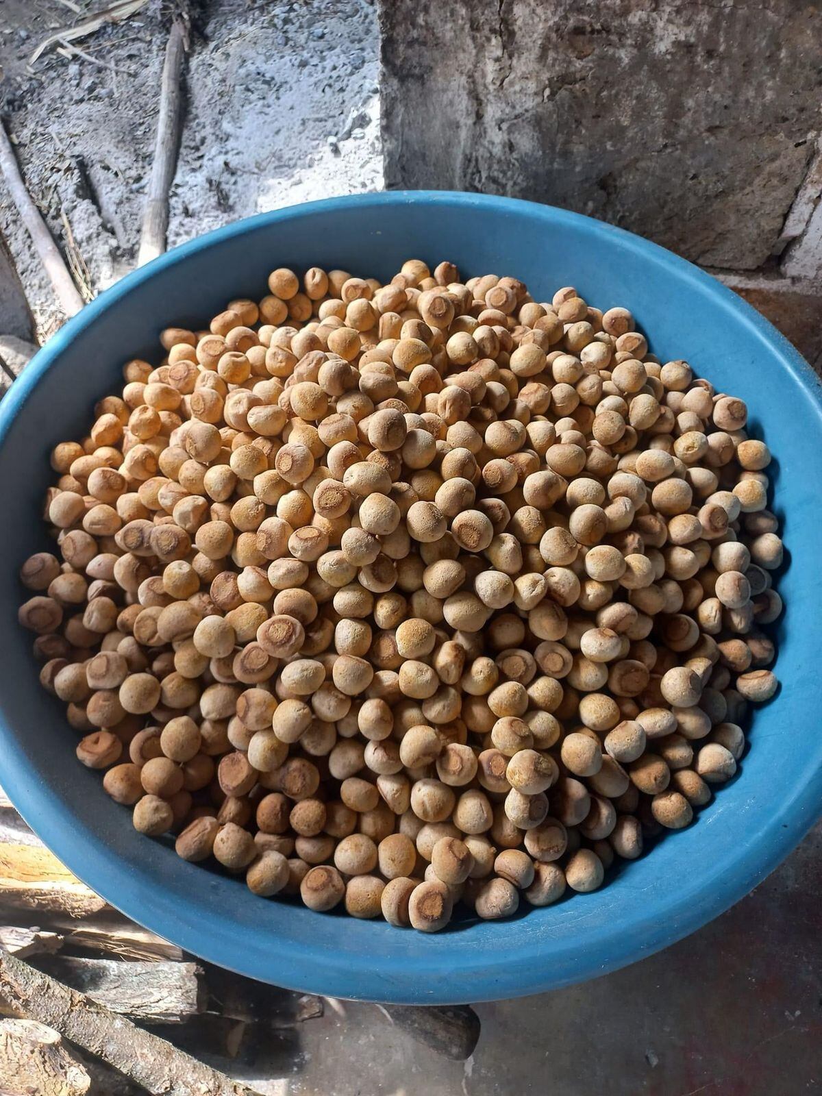 Diabolín. Foto: cortesía (suministrada a La W).