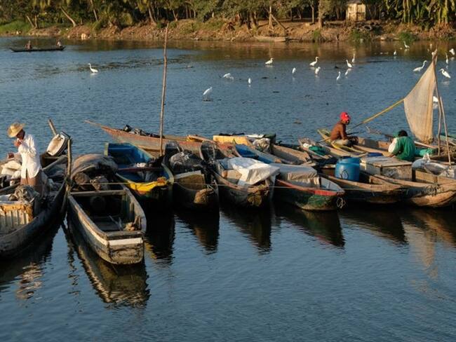 Sigue La W continúa su especial de la crisis de la salud en los departamentos como consecuencia del desangre y desvío de recursos por cuenta de la corrupción. Foto: Getty Images