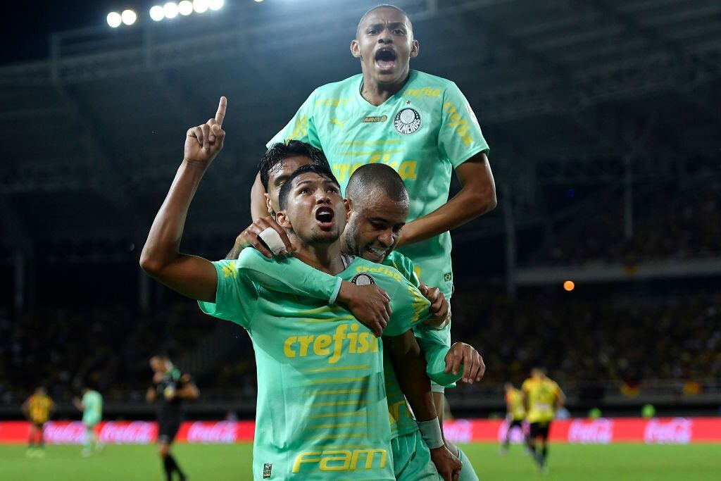 Partido Palmeiras y Pereira. Foto: Getty