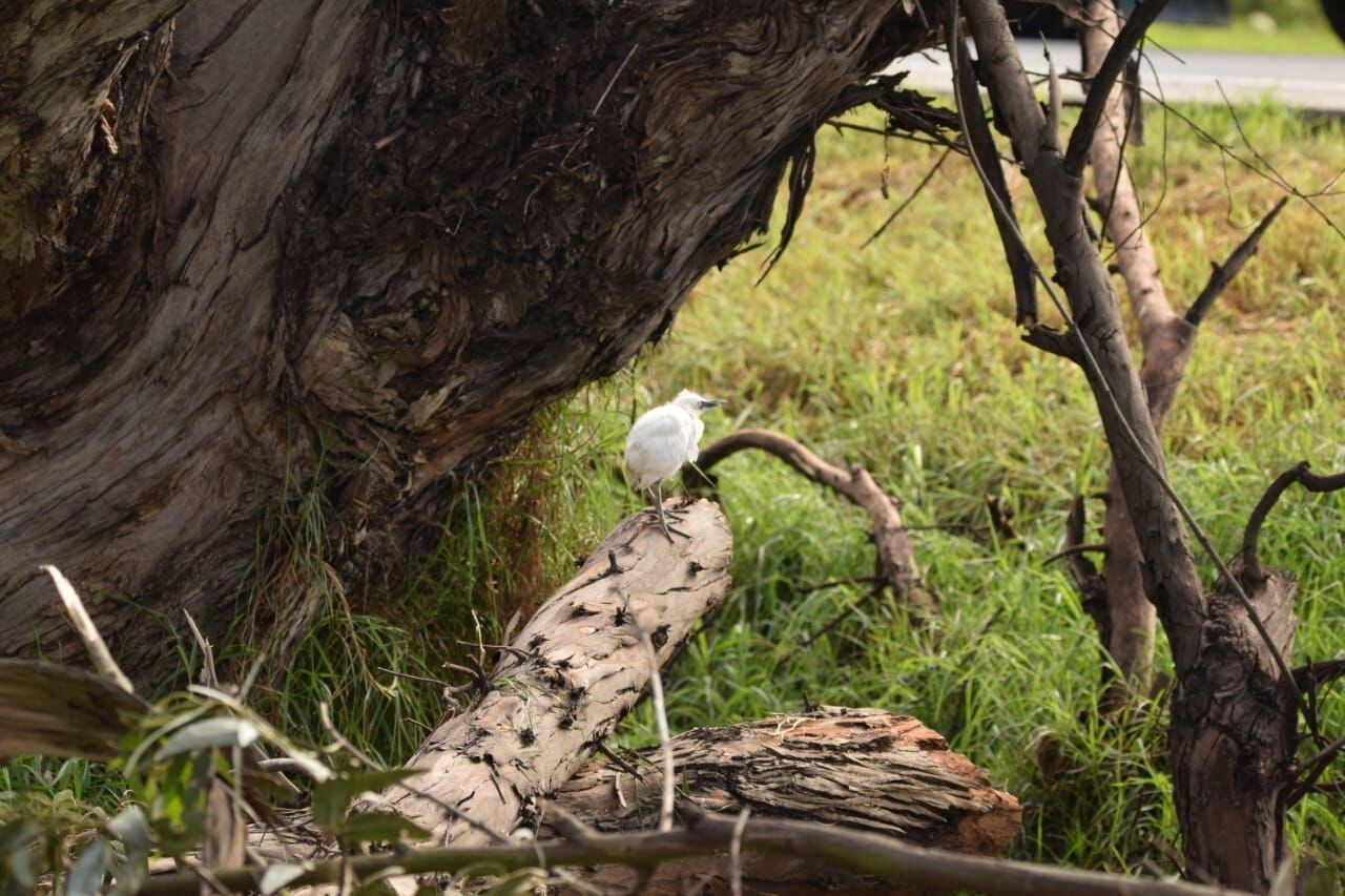 Foto: Corpoboyacá. 