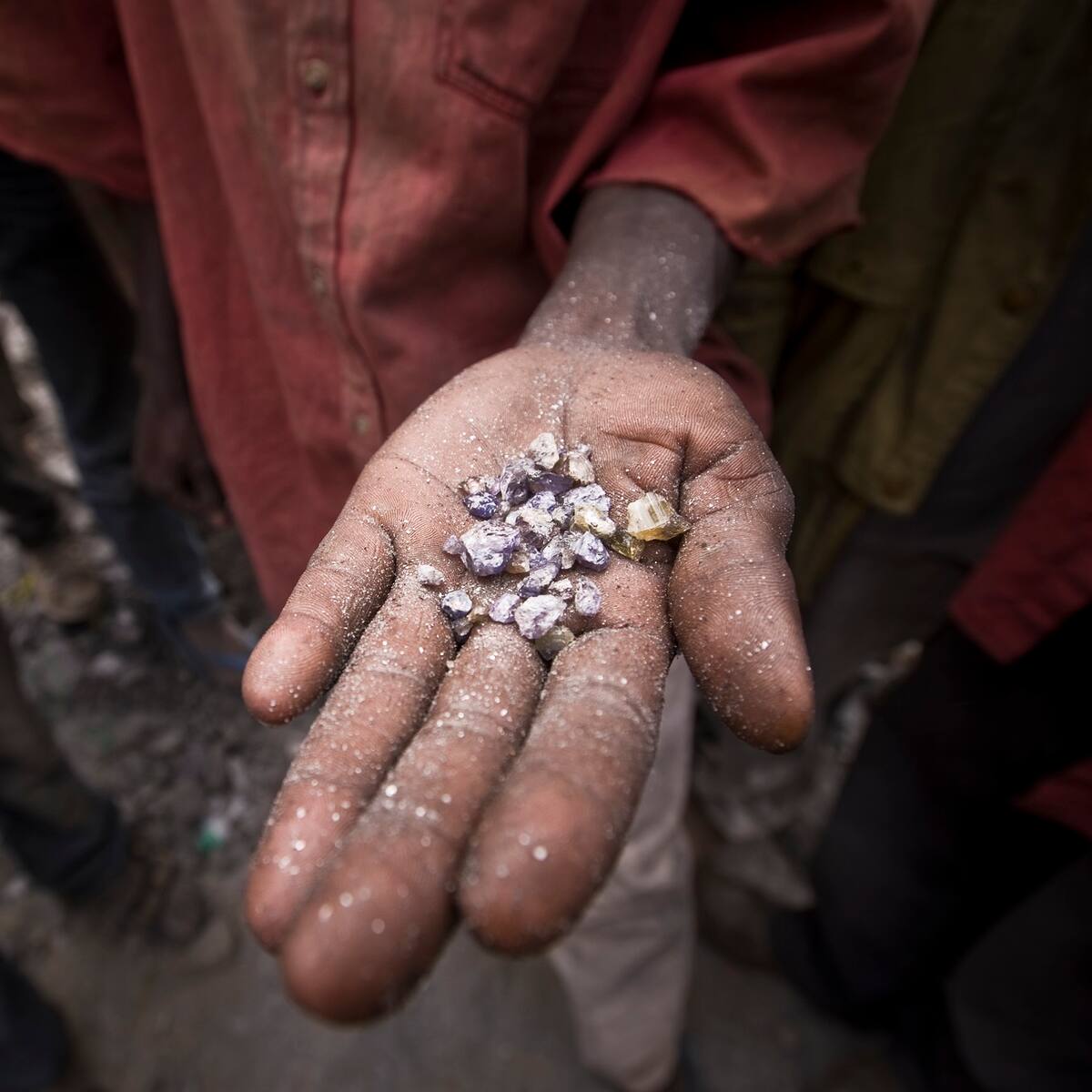Pocas acciones del MinAmbiente para combatir la minería ilegal: Procuraduría