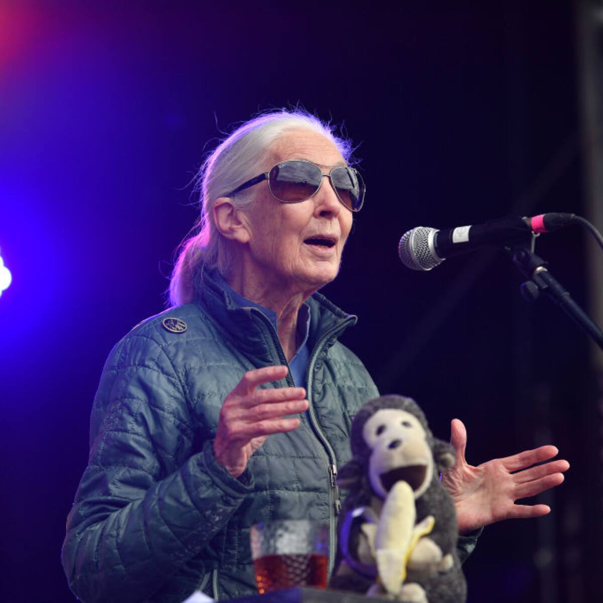 Roots & Shoots, programa de Jane Goodall que busca impulsar el cuidado del medioambiente