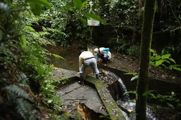 Foto: Alcaldía de Pereira (archivo)