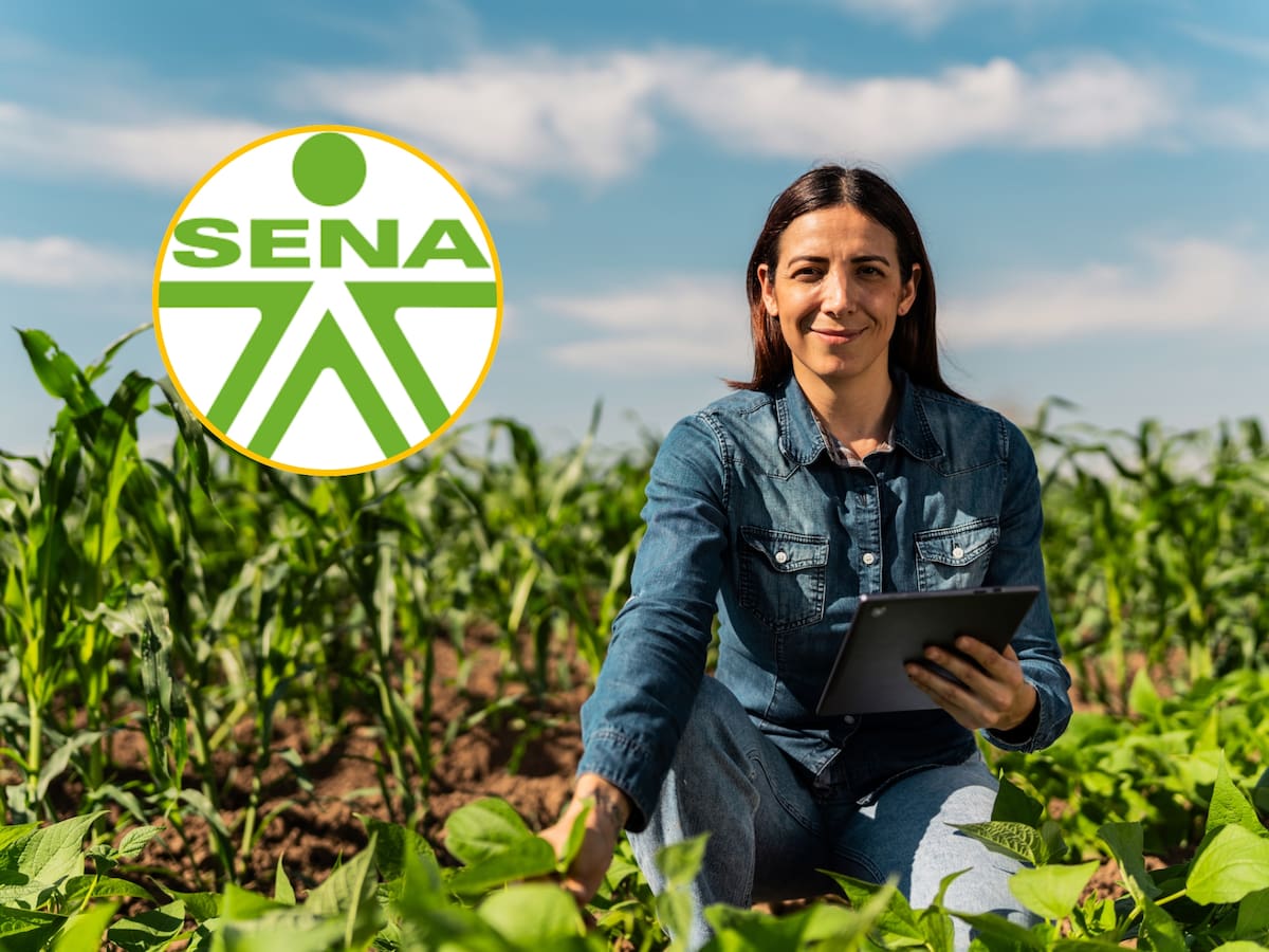 SENA abrió cursos virtuales de agricultura: ¿cómo inscribirse y cuánto dura?