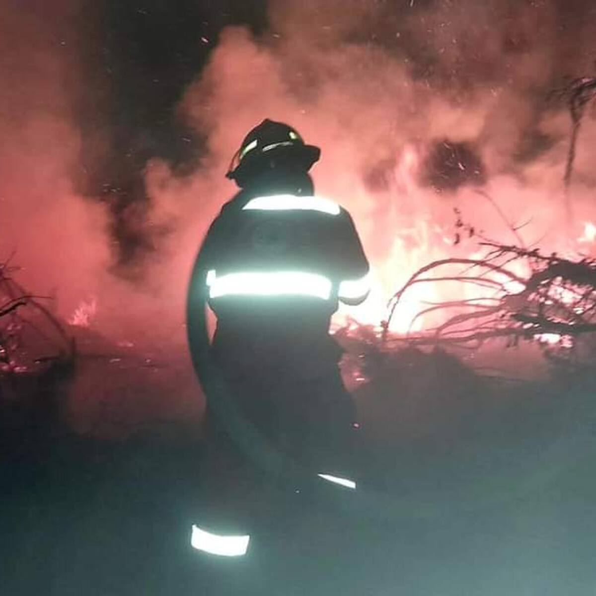 Atlántico y Magdalena instalan PMU por incendio en el Parque Isla Salamanca