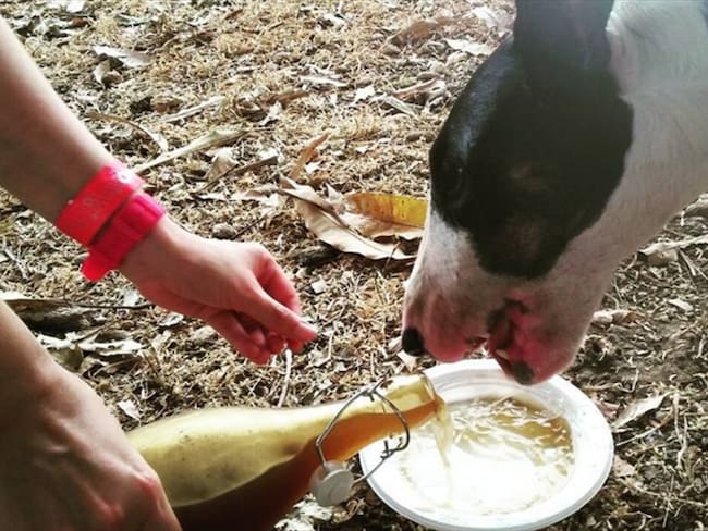 Imagen de referencia. Foto: Paula Andrea Ardila