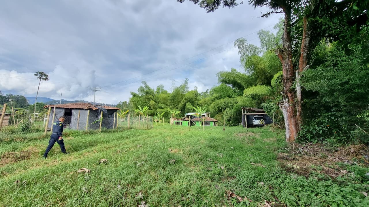 SAE recupera predio y descubren vehículo robado, loteo ilegal y hostigamiento armado