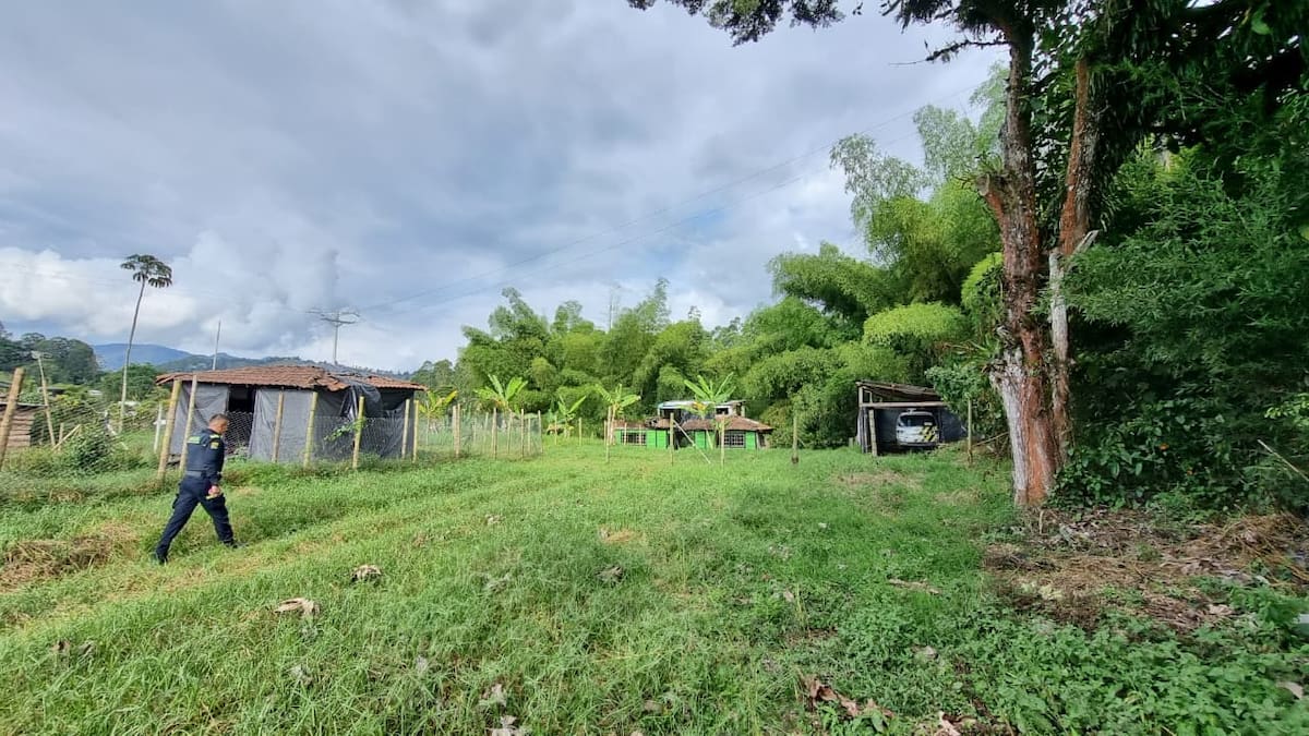 SAE recupera predio y descubren vehículo robado, loteo ilegal y hostigamiento armado