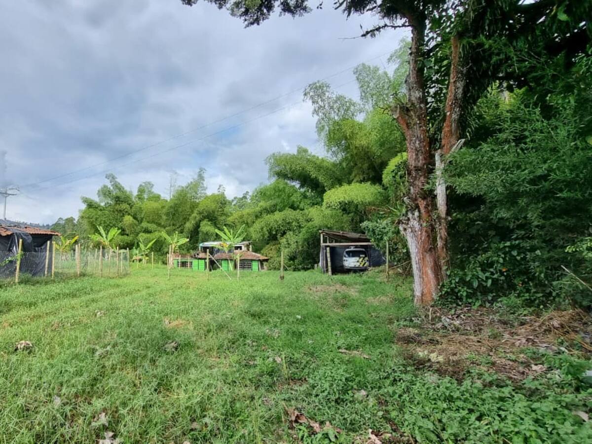 SAE recupera predio y descubren vehículo robado, loteo ilegal y hostigamiento armado