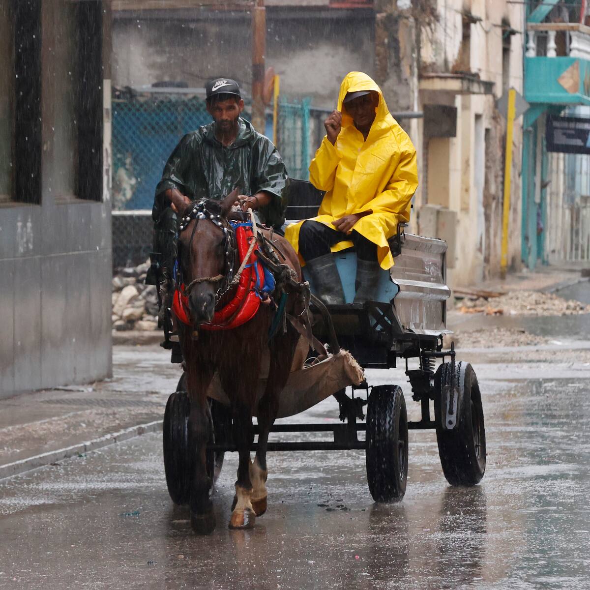Barranquilla prohibió circulación de vehículos de tracción animal
