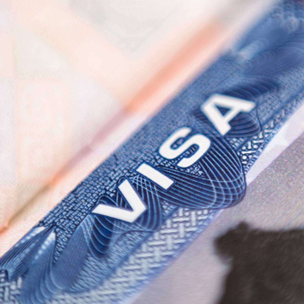 ¿Cuál es la solución a las demoras en visas de EE.UU.? Habla el embajador Palmieri