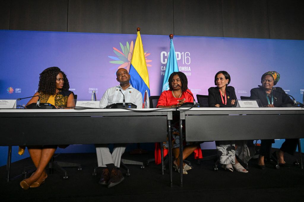COP16. I Foto: JOAQUIN SARMIENTO/AFP via Getty Images.