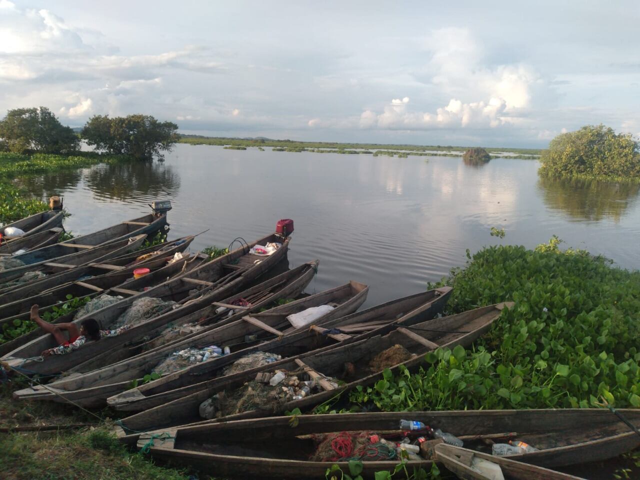 Pescadores en El Banco, Magdalena preocupados por la  tarulla en la ciénaga de la Zapatosa