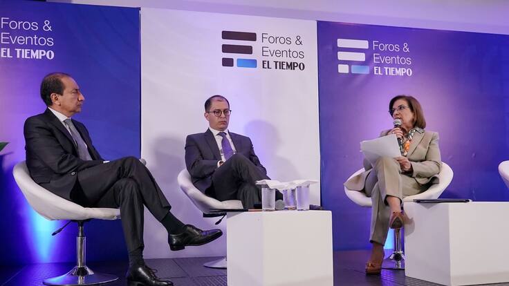 Fuerte pronunciamiento de la Rama Judicial sobre el proyecto de ley de sometimiento