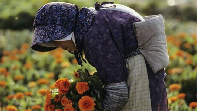 Para 2030, casi un tercio de la población japonesa será anciana. Foto: KAREN KASMAUSKI/GETTY