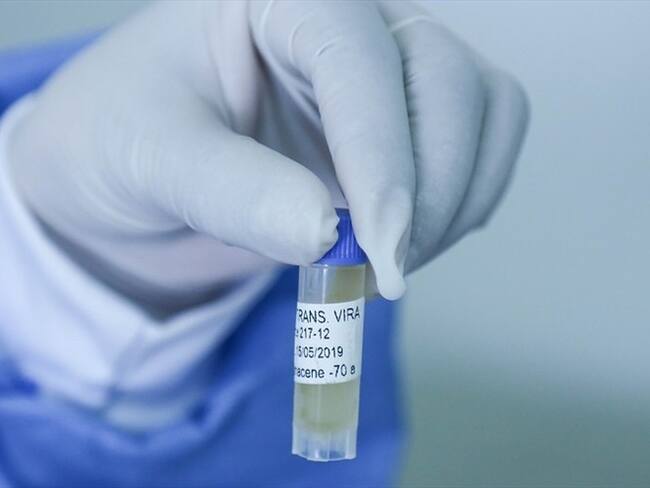 Imagen ilustrativa. Foto: Colprensa