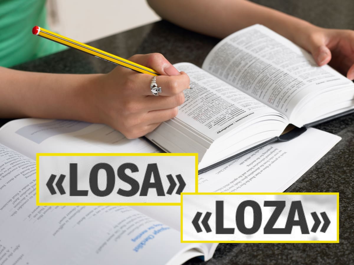 Diferencia entre losa y loza: muchos se confunden y no son lo mismo, ¿qué significan según la RAE?