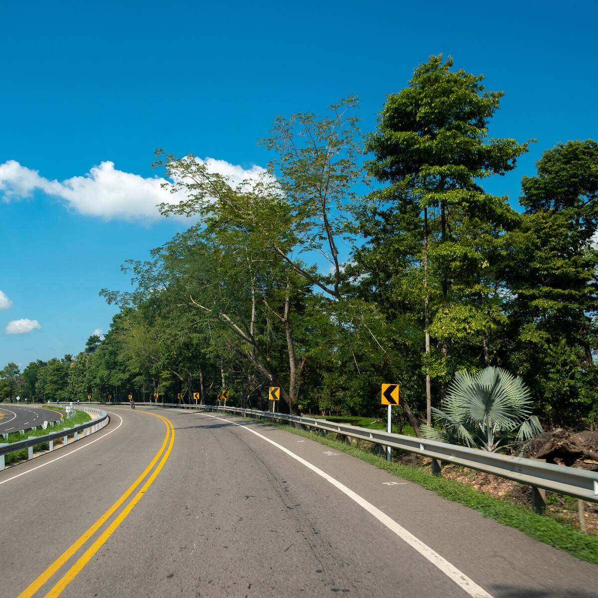 Cuál es y cuántos kilómetros tiene la carretera más larga del Colombia: Esto dijo ChatGPT