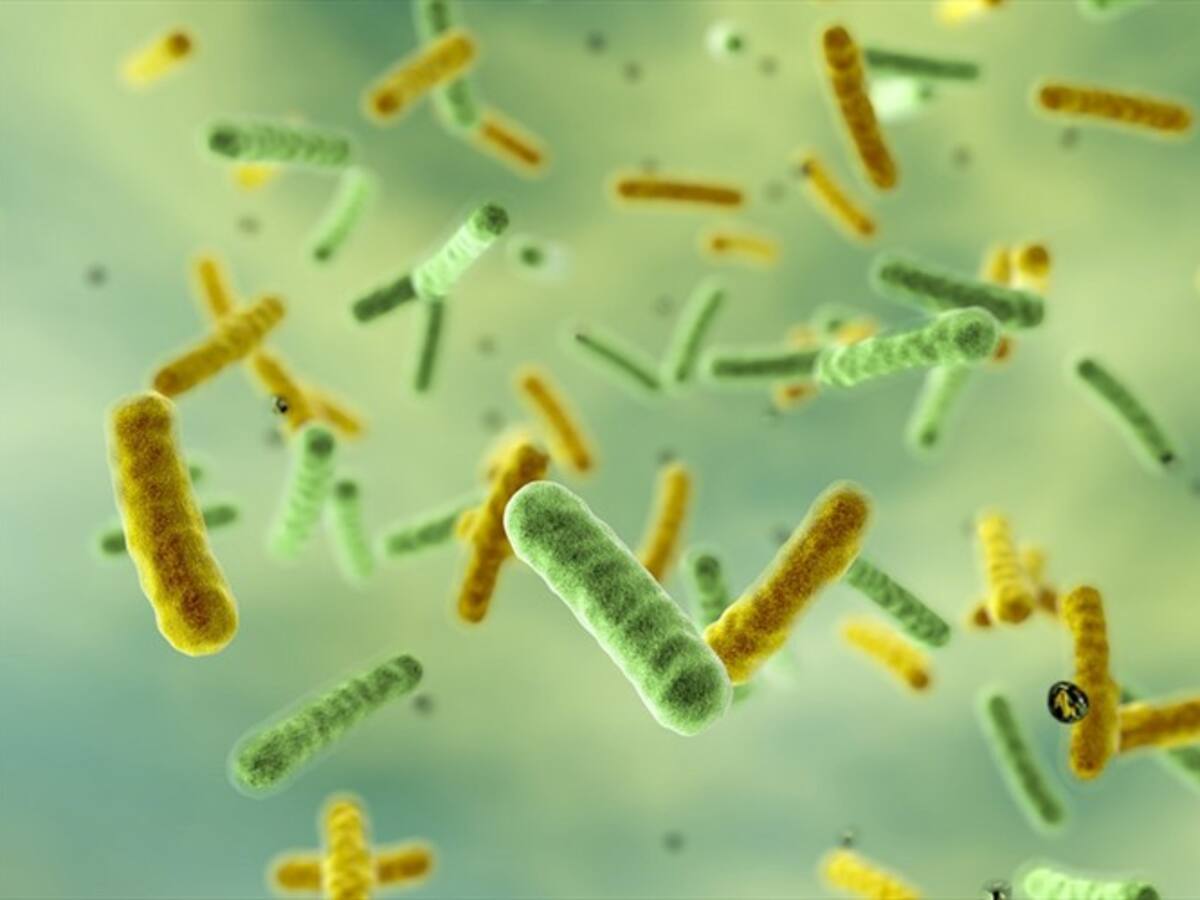 ¿El transporte público de Latinoamérica es un "nido de microbios"?
