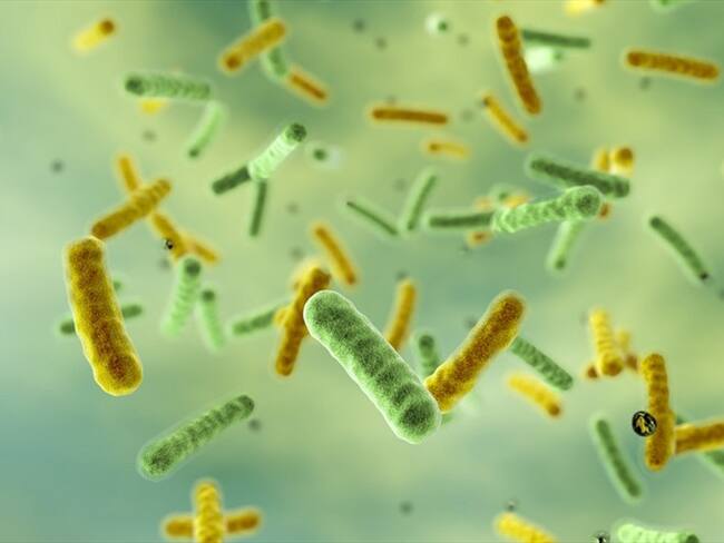 El Dr. Eduardo Castro habló sobre una investigación que demuestra que el transporte público en Latinoamérica tiene la mayor presencia de microbios resistentes.. Foto: Getty Images