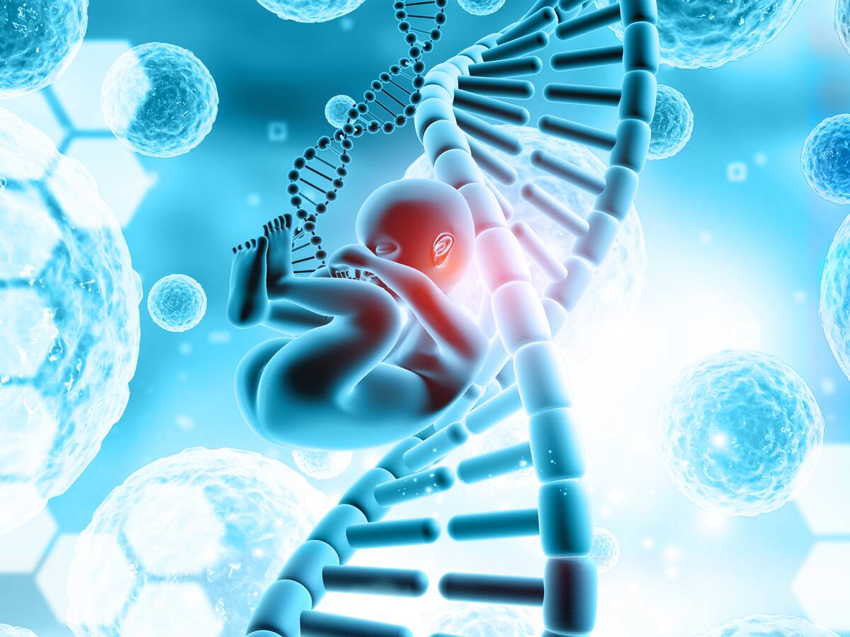 Silicon Valley busca modificar embriones para aumentar su inteligencia: ¿De qué se trata?