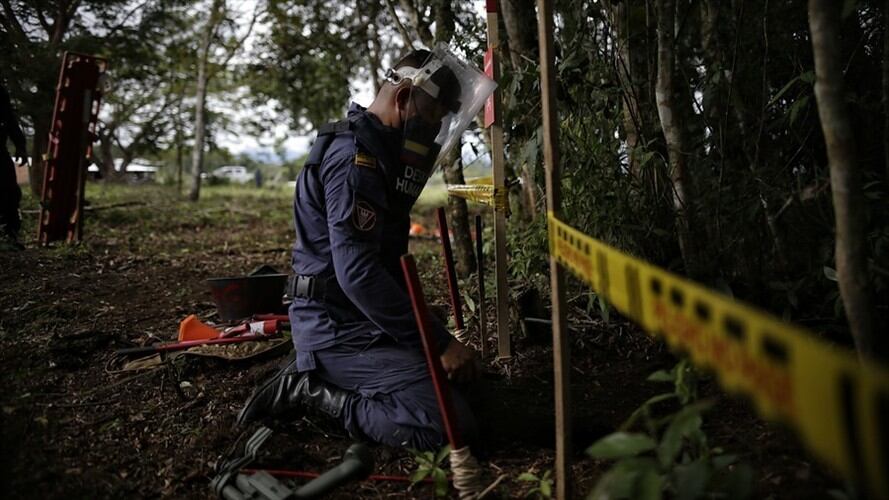 Campos minados en Putumayo / imagen de referencia. Foto: Colprensa