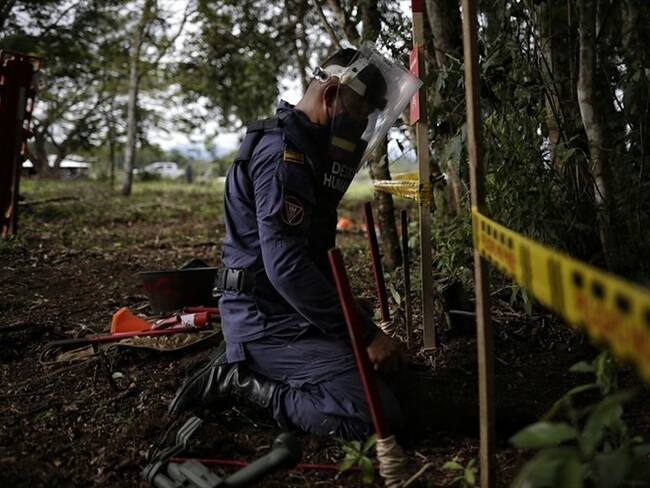 Campos minados en Putumayo / imagen de referencia. Foto: Colprensa