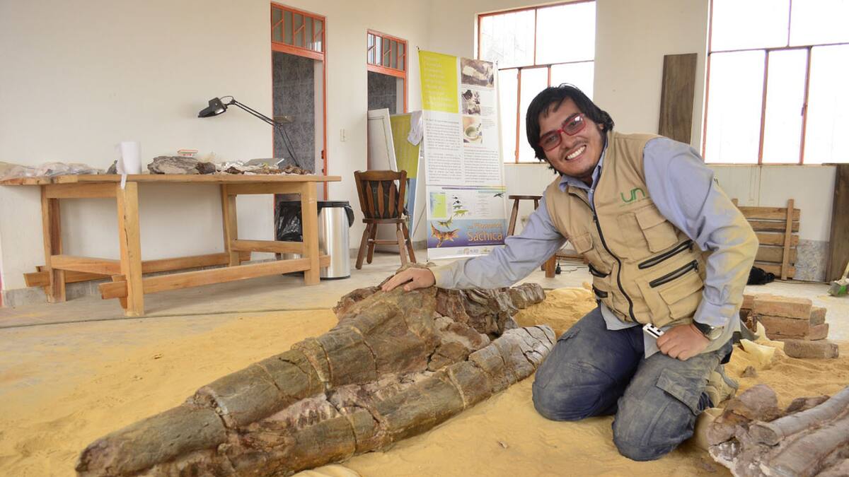 Fósil de reptil marino de más de 125 millones de años fue encontrado en Boyacá