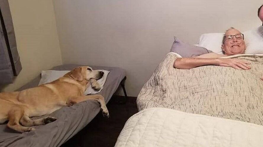 Daniel Hove y su perro . Foto: Facebook: Heather Nicoletti