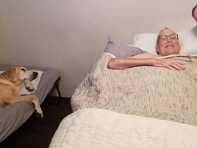 Daniel Hove y su perro . Foto: Facebook: Heather Nicoletti