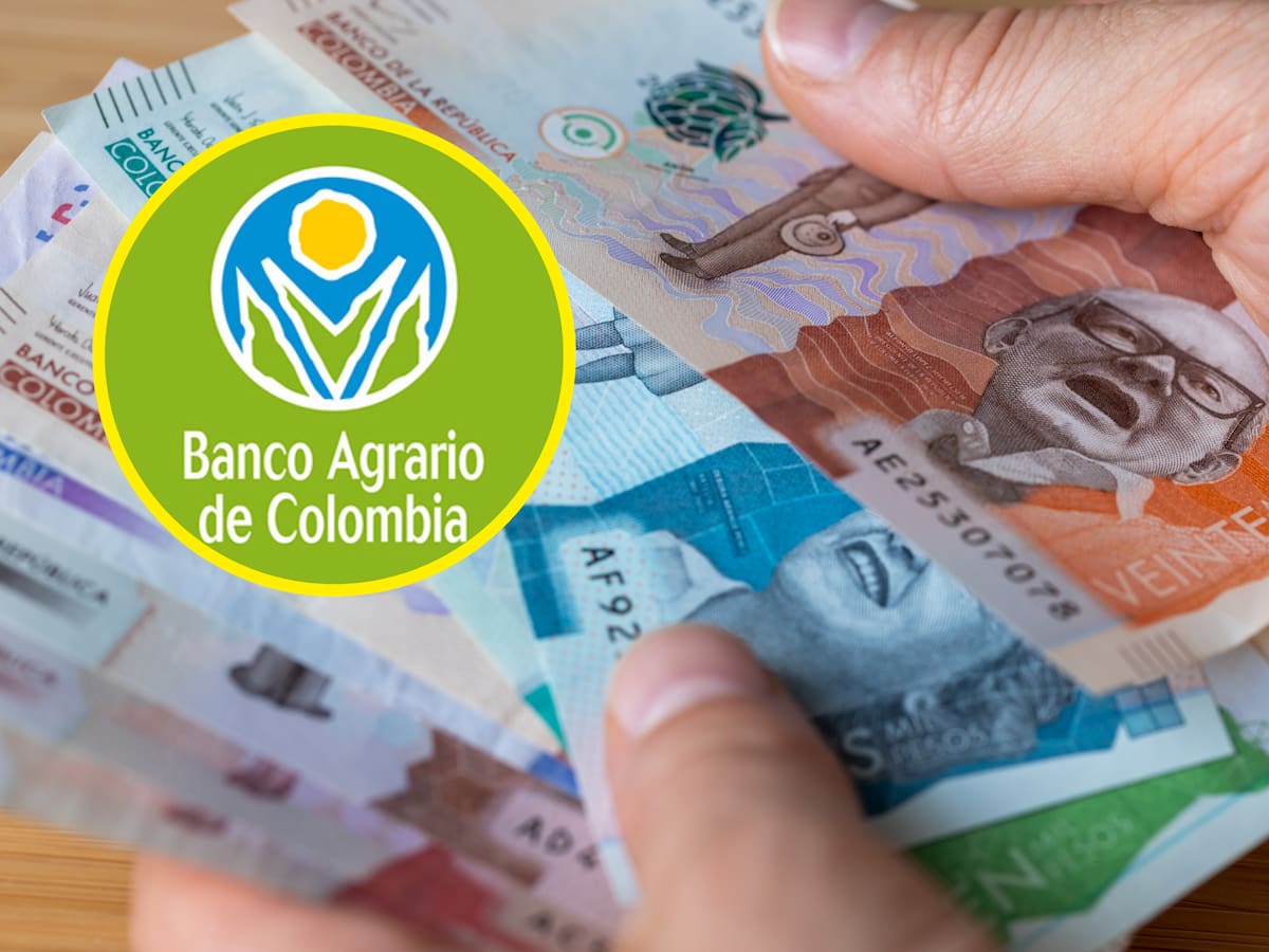 Banco Agrario está pagando subsidios: reclame Renta Ciudadana, Devolución IVA y más