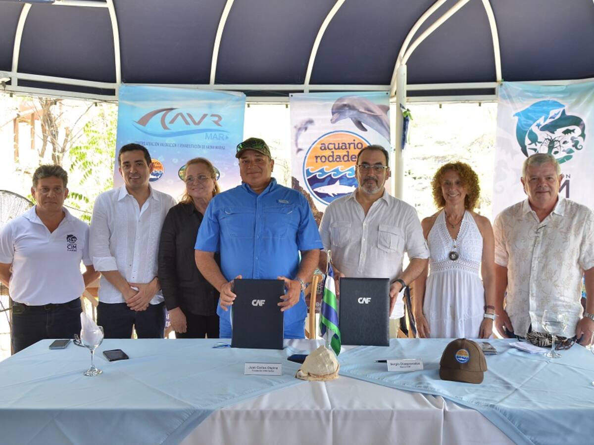 La CAF suma aliados por la restauración de arrecifes de corales en Colombia y el mundo