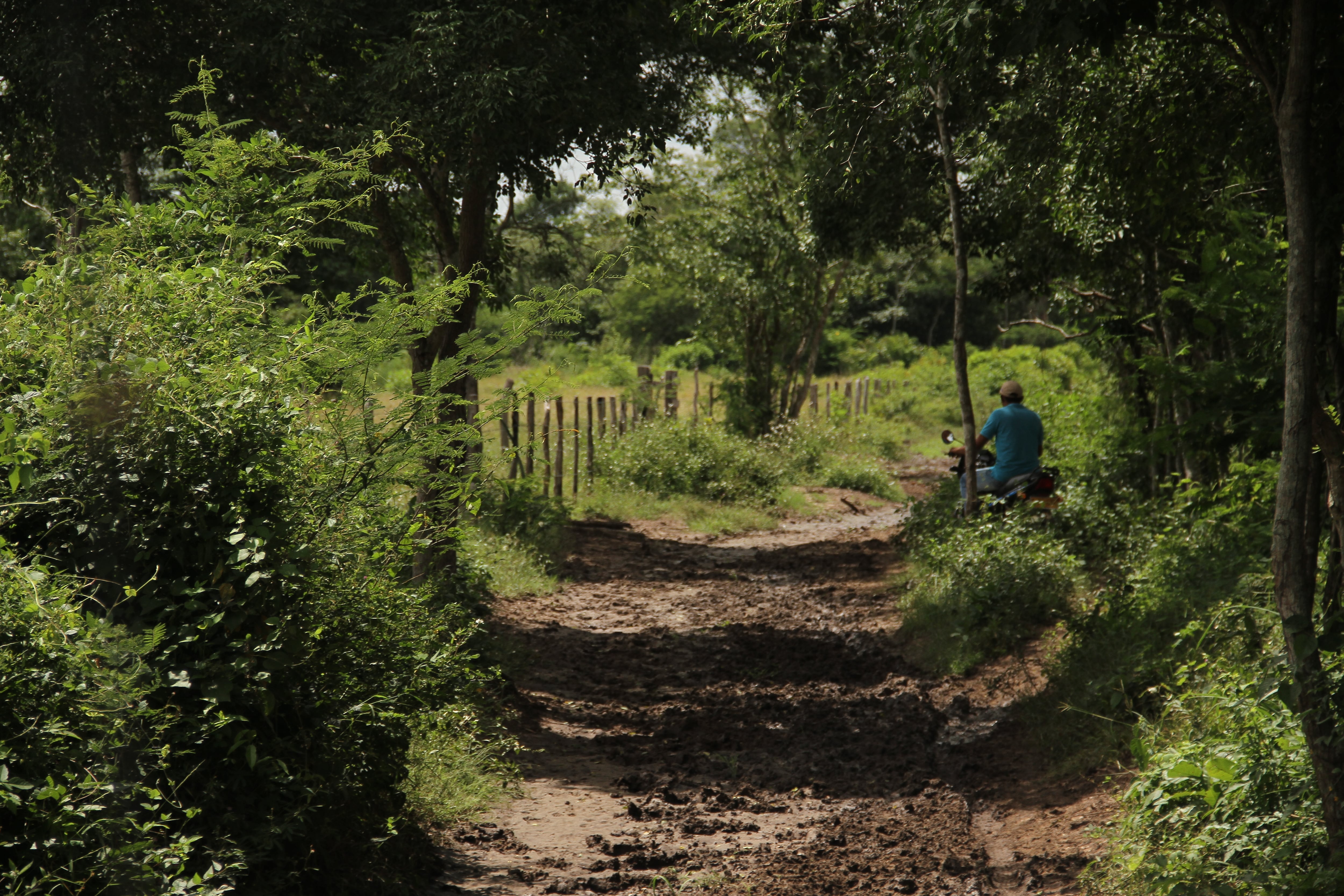 Unidad de Restitución de Tierras busca recuperar territorio ancestral en La Guajira / imagen de referencia. Foto: Colprensa - Sofía Toscano)
