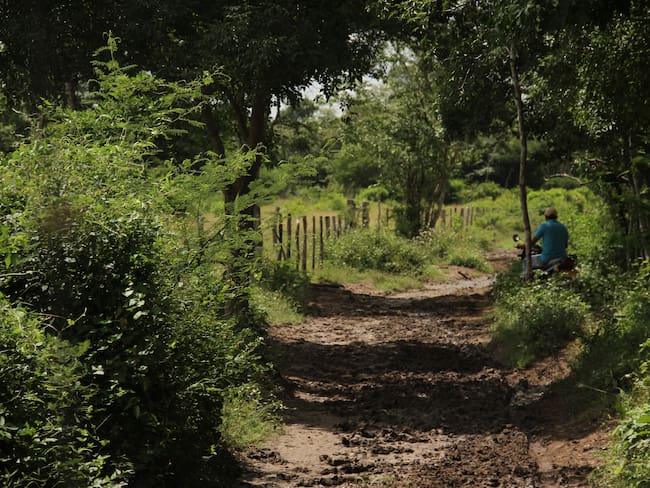 Unidad de Restitución de Tierras busca recuperar territorio ancestral en La Guajira / imagen de referencia. Foto: Colprensa - Sofía Toscano)