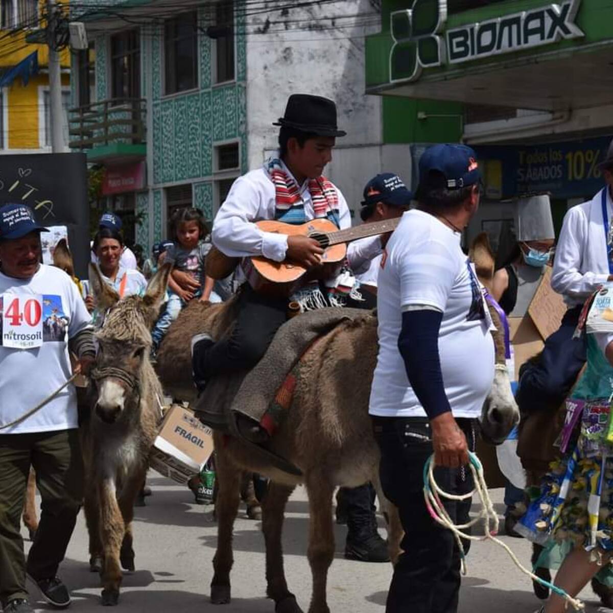 Inicia el XVII Concurso Regional del Burro en Moniquirá