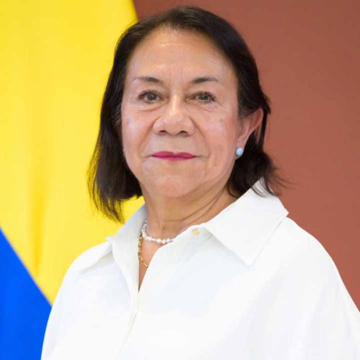 “No queremos un conflicto”: canciller (e) Villavicencio sobre tensión con Perú por isla Santa Rosa