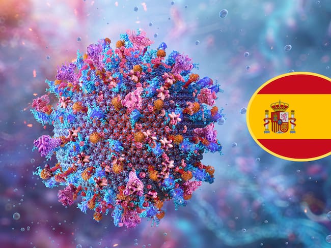 Virus de la peste porcina africana. España. Fotos: Getty Images.