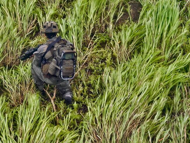 Fue atacada la comisión que investiga la muerte de Flower Trompeta en Cauca. Foto: Getty Images