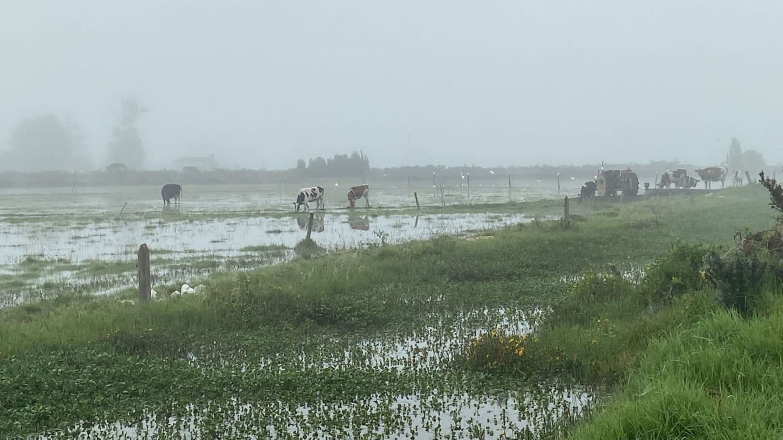 Foto: Alcaldía de San Miguel de Sema.