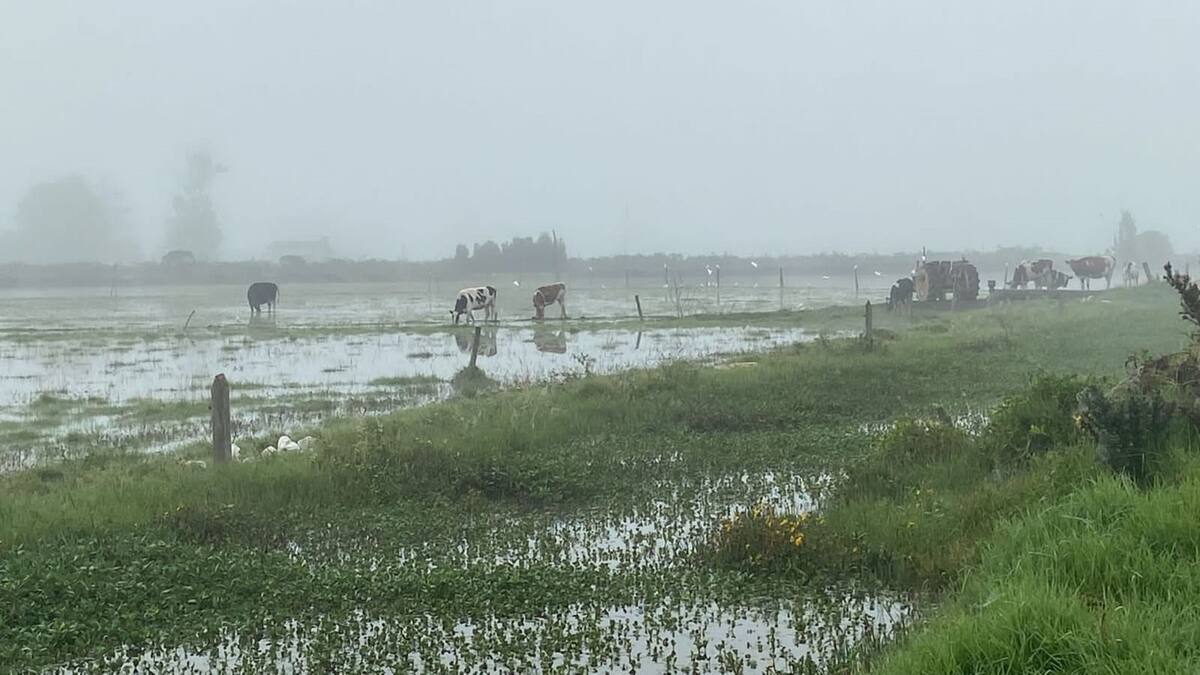 Invierno inundó más de 1000 hectáreas en San Miguel de Sema
